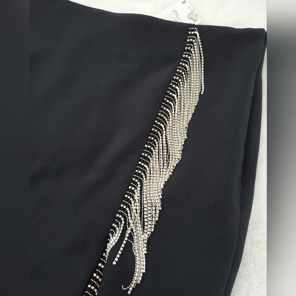 Zara Jewel fringed back skirt (M)( BNWT) - Picture 4 of 7